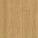 https://embeltonflooring.com/cdn/shop/files/ARBOR_Swatch_Edited_f3bbeaf7-003a-480a-aa5a-ed0830627495.jpg?v=1753156070&width=1500