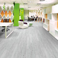 https://embeltonflooring.com/cdn/shop/files/Argent-01_1857f7c7-f4e4-4eec-b2c5-0991346f7b8d.jpg?v=1685065096