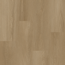 https://cdn.shopify.com/s/files/1/0041/3050/4833/files/Ash.png?v=1733450934