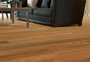https://hurfords.com.au/wp-content/uploads/2016/02/Australian-Native-Website-Spotted-Gum-1.png