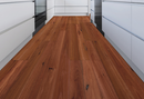 https://hurfords.com.au/wp-content/uploads/2016/02/Australian-Native-Website-Sydney-Blue-Gum-1.png