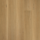 https://cdn.shopify.com/s/files/1/0041/3050/4833/files/Blackbutt.png?v=1732490387