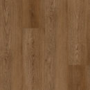 https://cdn.shopify.com/s/files/1/0041/3050/4833/files/Cambridge.png?v=1733451038