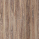 https://cdn.shopify.com/s/files/1/0041/3050/4833/products/Chestnut.jpg?v=1637750039