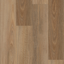 https://cdn.shopify.com/s/files/1/0041/3050/4833/files/Coastal_Spotted_Gum.png?v=1733451208