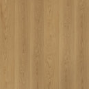 https://cdn.shopify.com/s/files/1/0041/3050/4833/files/Doeskin1500x1500swatchflooringonline_7b7be9c2-2084-42a5-8523-36c9c76d7cba.jpg?v=1697069150