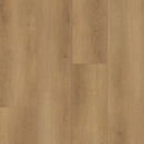 https://cdn.shopify.com/s/files/1/0041/3050/4833/files/Ochre_Edited.png?v=1753054198