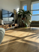 https://cdn.shopify.com/s/files/1/0041/3050/4833/files/Paperbark_Hybrid_Waterproof_flooring_online_4.jpg?v=1724733975