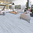 https://cdn.shopify.com/s/files/1/0041/3050/4833/products/Silverash-01.jpg?v=1637750201