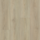 https://cdn.shopify.com/s/files/1/0041/3050/4833/files/Silvershore_Edited.png?v=1753054294