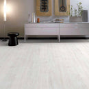 https://cdn.shopify.com/s/files/1/0041/3050/4833/products/Snow-01_40869699-eb16-4d59-b117-c825338767dc.jpg?v=1663138628