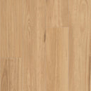 https://cdn.shopify.com/s/files/1/0041/3050/4833/files/Southern_Blackbutt_1500x1500_Swatch.jpg?v=1750640996
