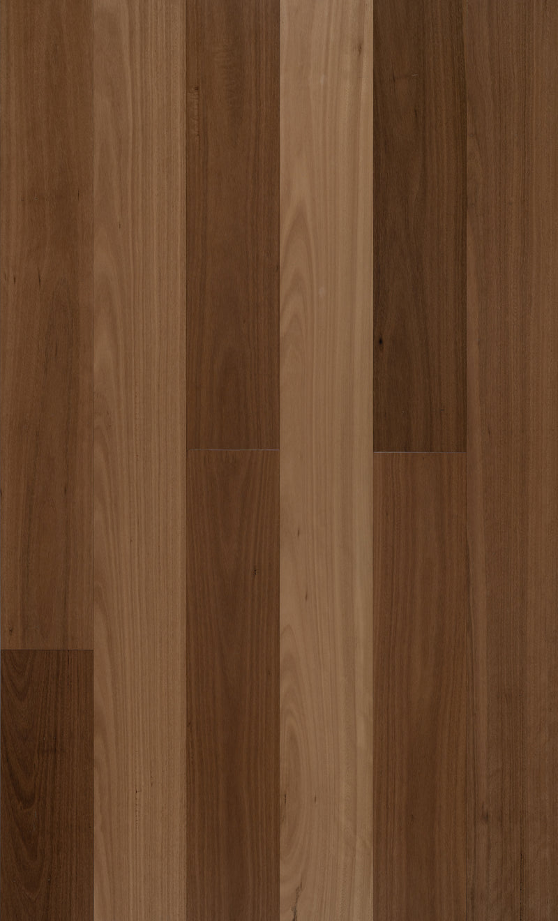 Golden Elite Hybrid Timber SPT 8.5mm - Black Butt